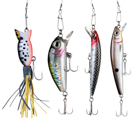 Baits vs. Lures: Which Is Best? - Meadow Brook Game Farm